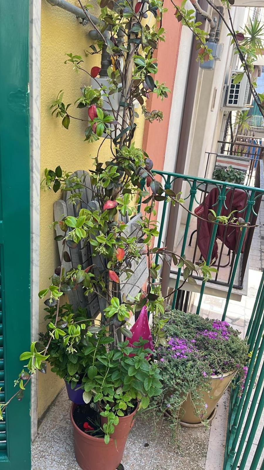 莫拉-迪巴里La Casa Di Nonna Sisina别墅 外观 照片